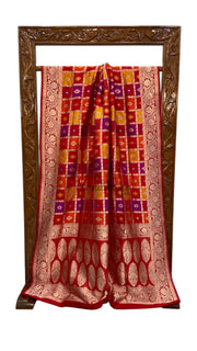 Pure Katan Silk Banarasi Handloom Saree - All over Jaal Work With Rangkart - The Handlooms
