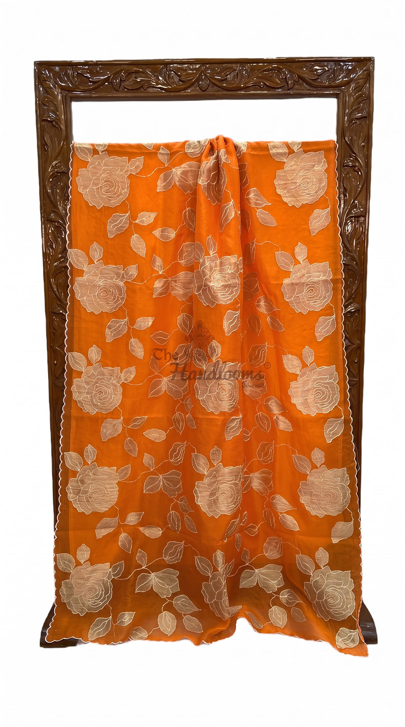 Pure Organza Handloom Banarasi Saree - Applique Tissue Handwork