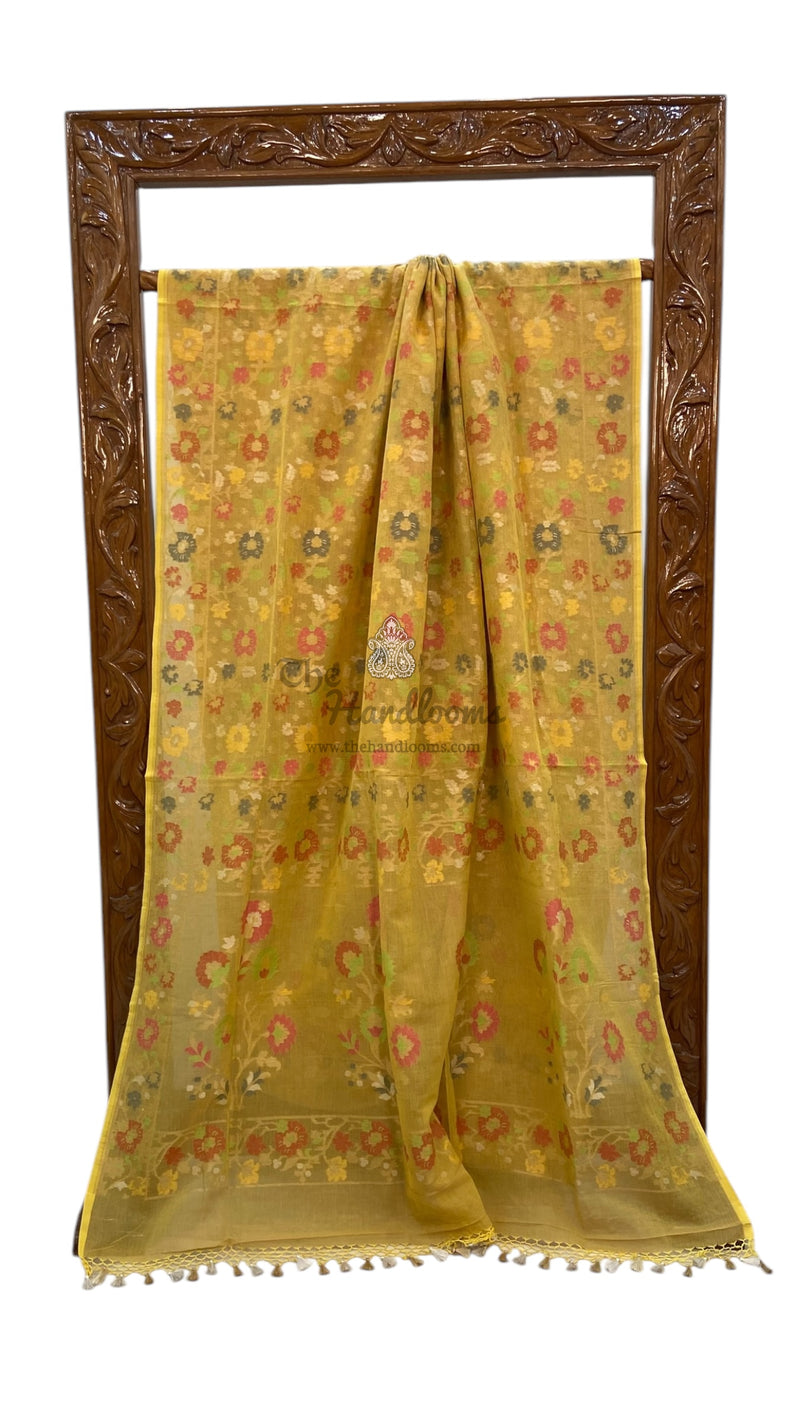 Pure Cotton Jamdani Handloom Banarasi Saree - The Handlooms