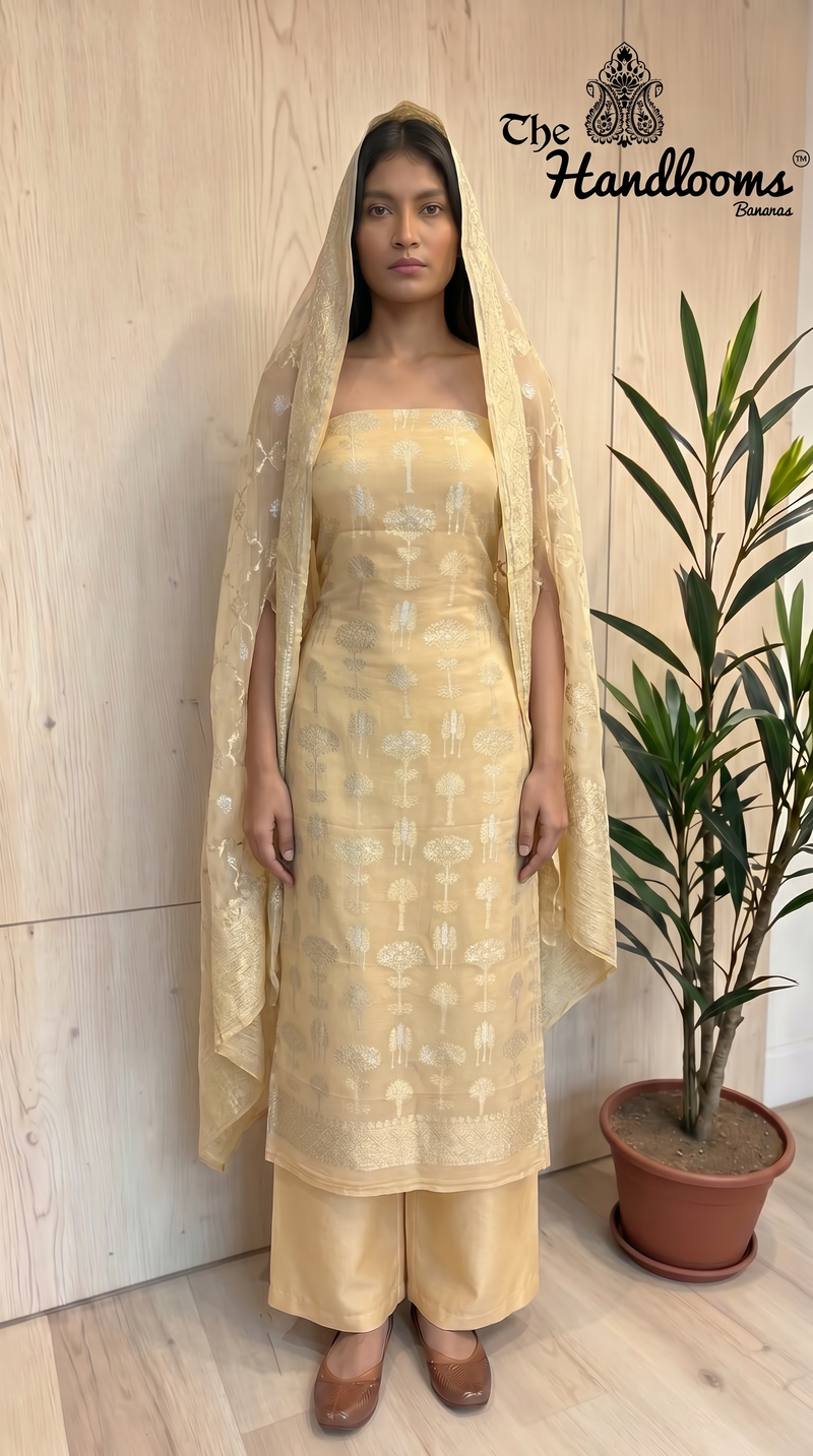 Khaddi Georgette Banarasi Dress material Water and Silver zari