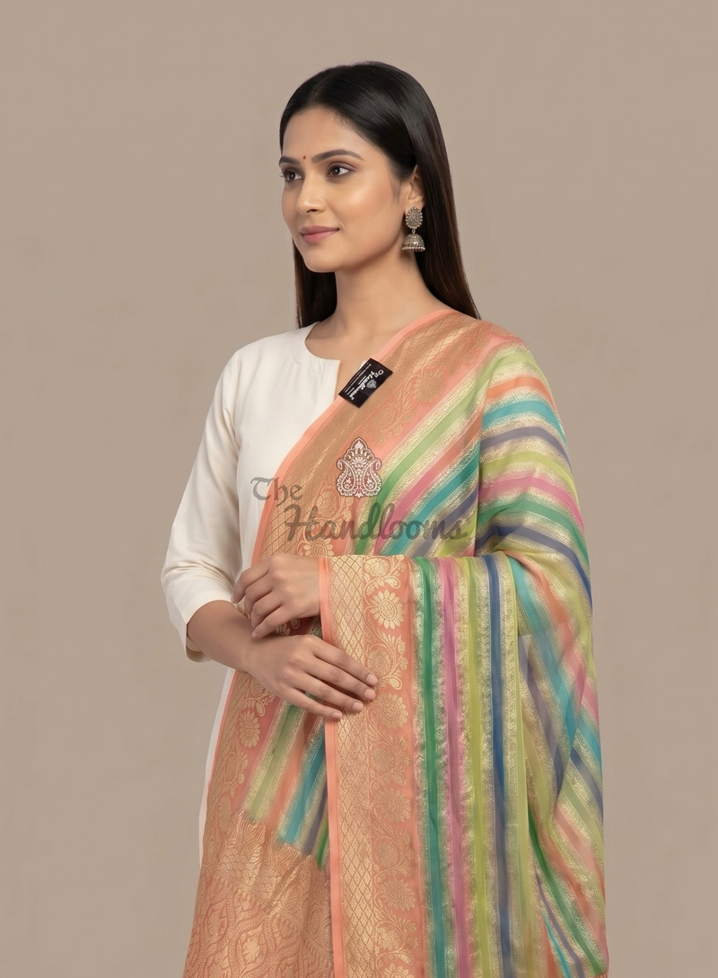 Pure Khaddi Georgette Handloom Banarasi Dupatta