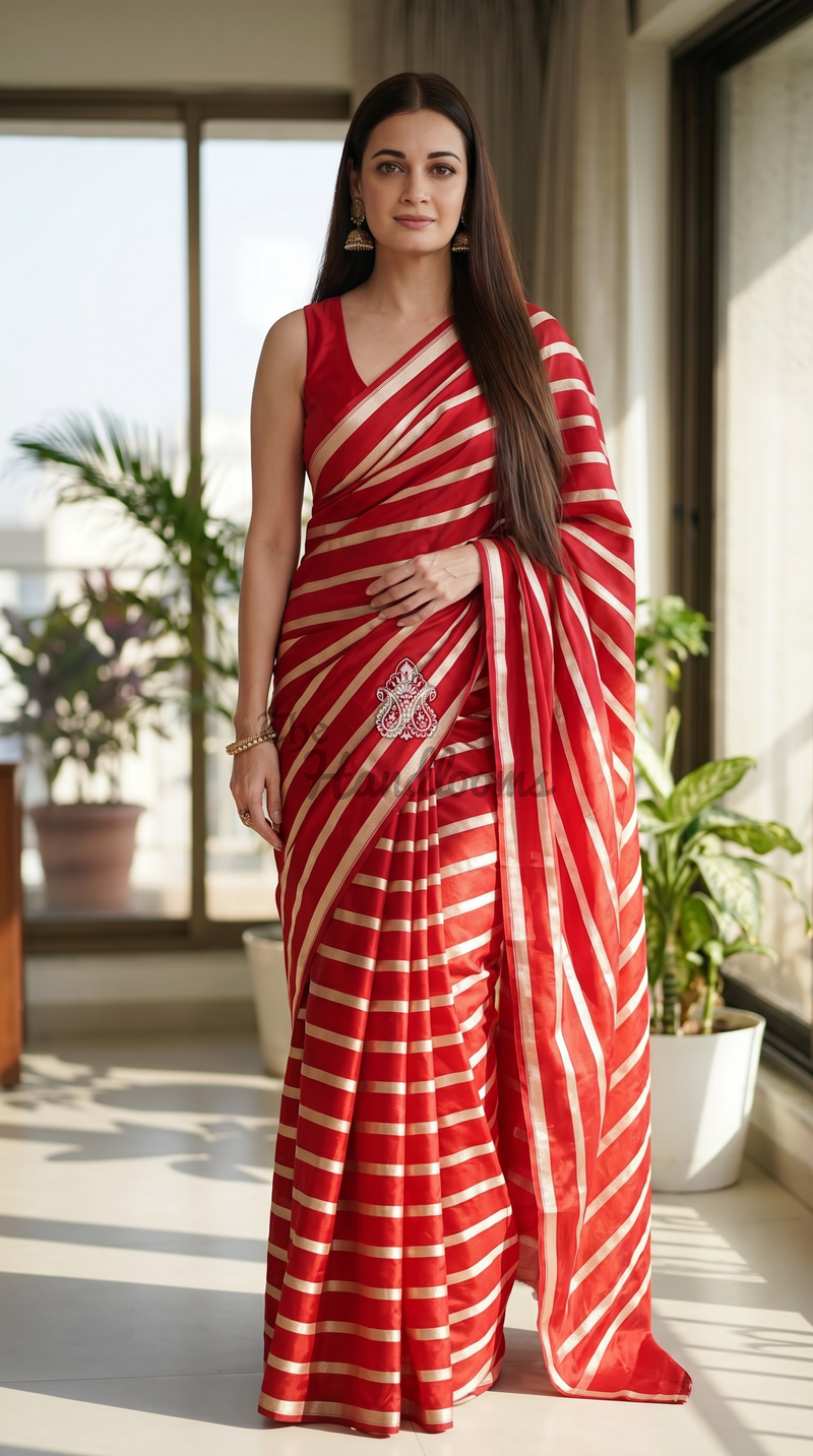 Dia Mirza in Pure Katan Silk Banarasi Handloom Saree - Stripe