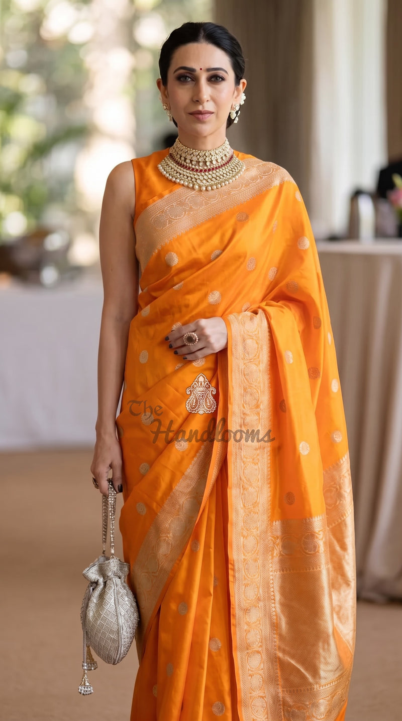 Karishma Kapoor in our Pure Katan Silk Banarasi Handloom Saree - All Over Kadua Motifs