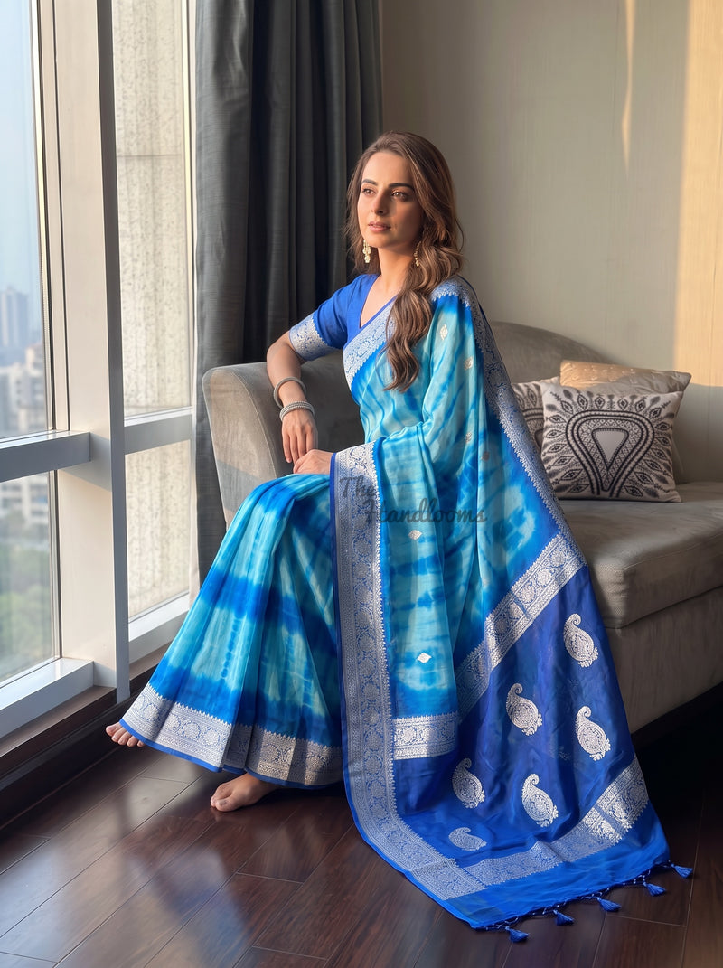 Pure Georgette Handloom Banarasi Saree - Silver Zari