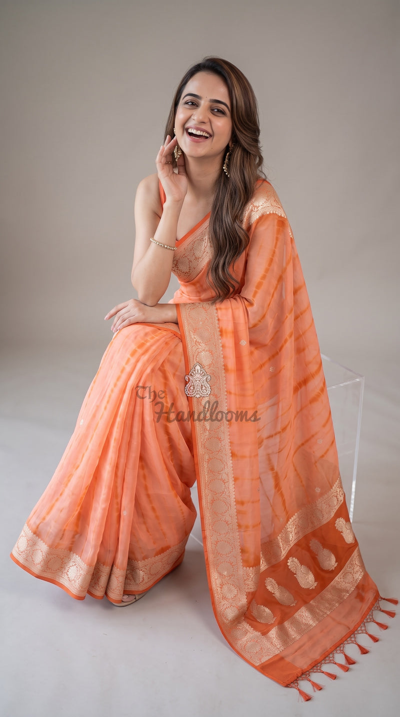 Pure Georgette Handloom Banarasi Saree - Silver Zari