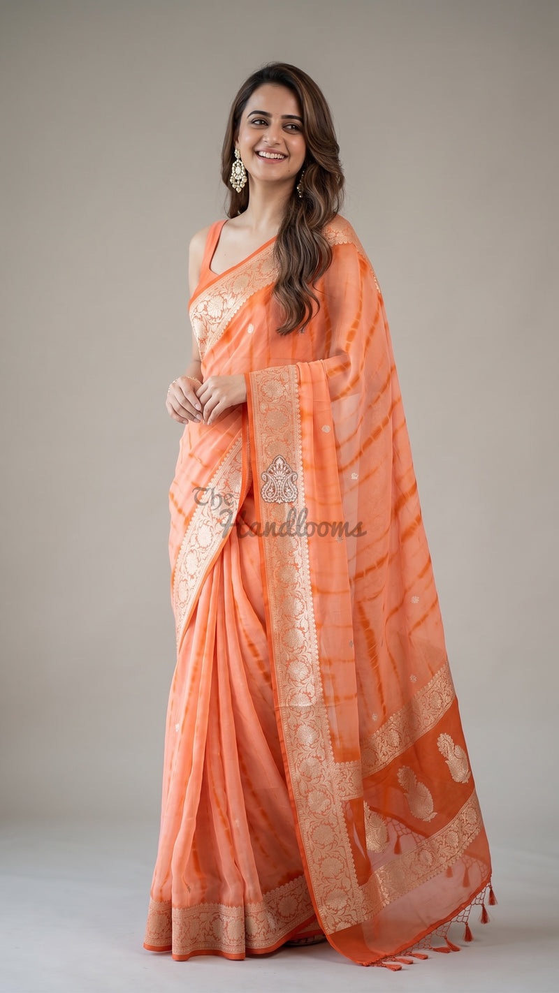 Pure Georgette Handloom Banarasi Saree - Silver Zari