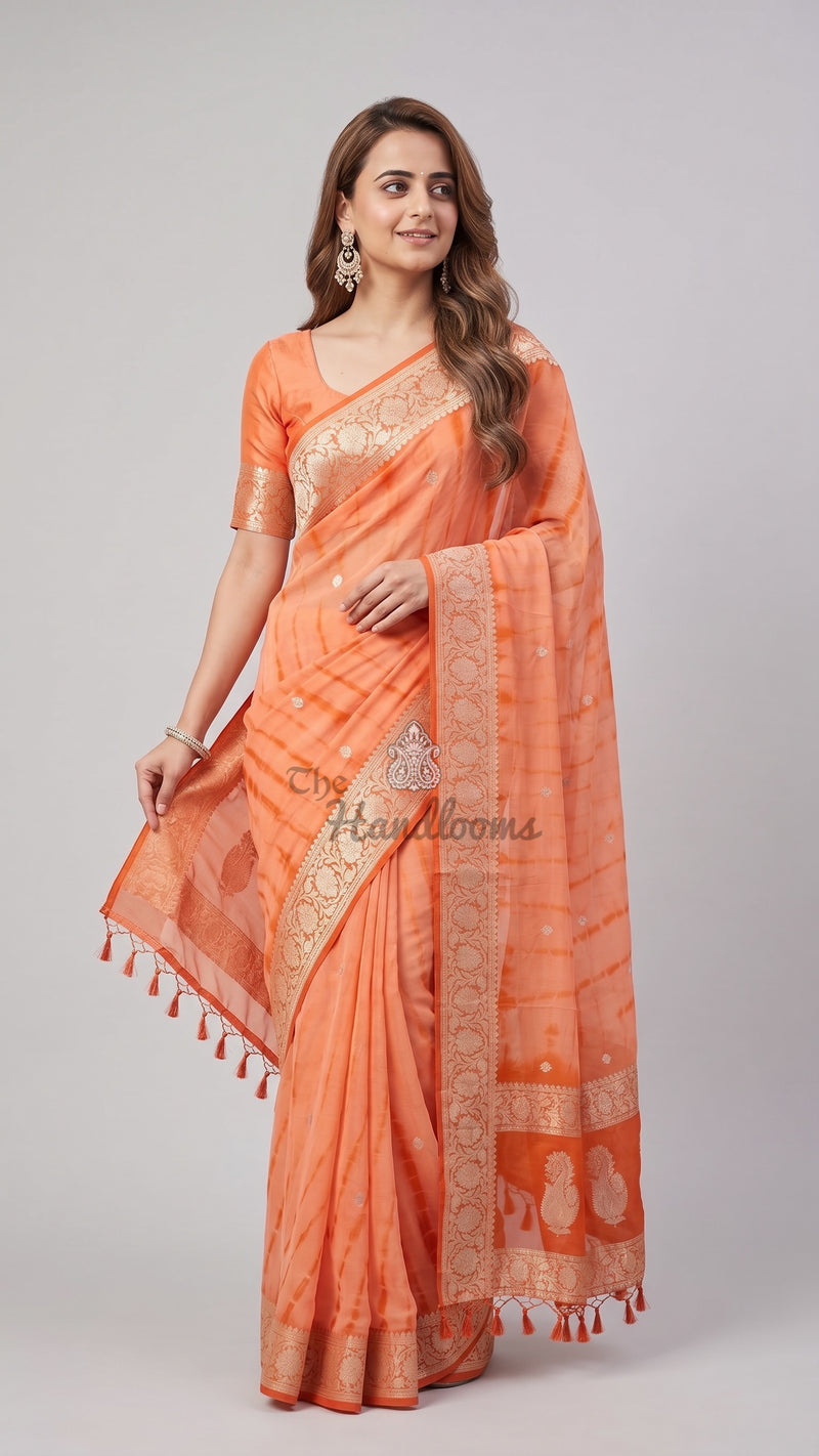 Pure Georgette Handloom Banarasi Saree - Silver Zari