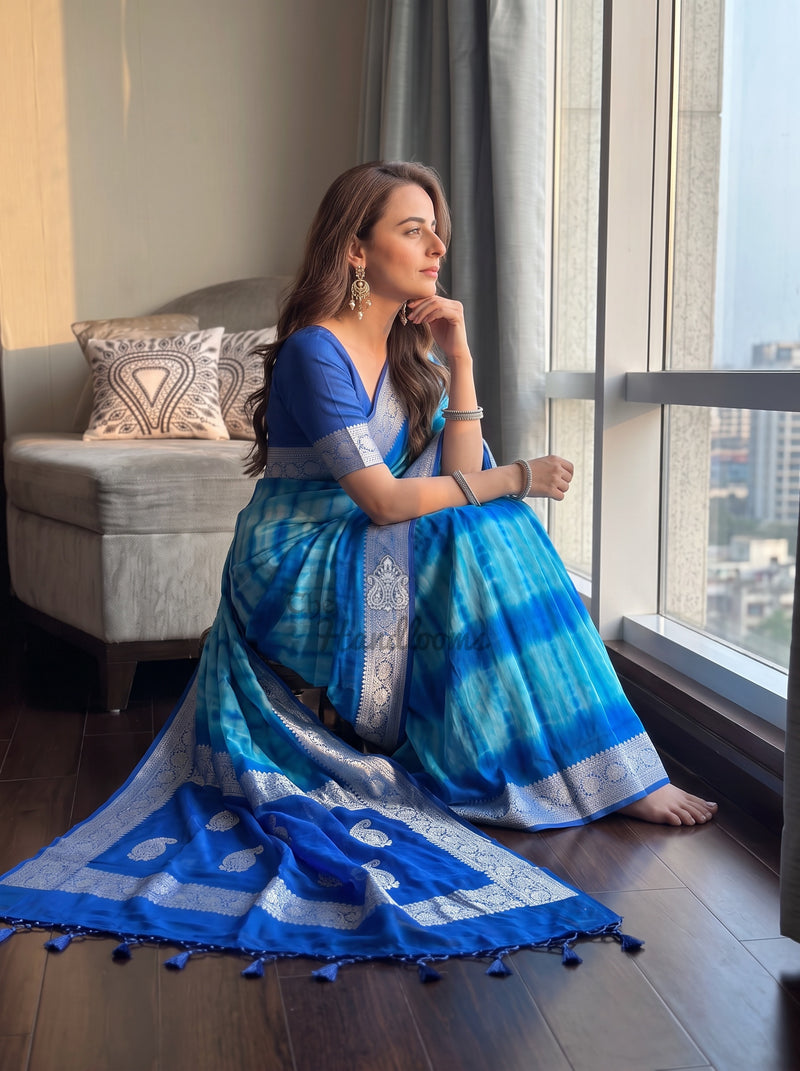 Pure Georgette Handloom Banarasi Saree - Silver Zari