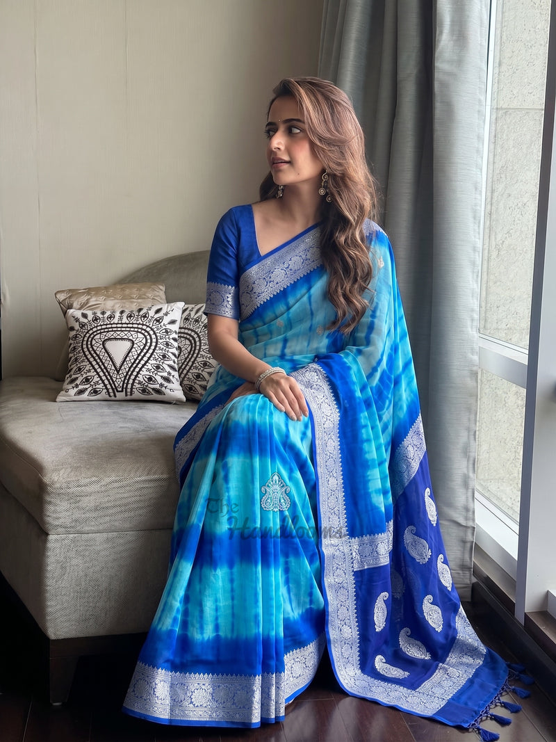 Pure Georgette Handloom Banarasi Saree - Silver Zari
