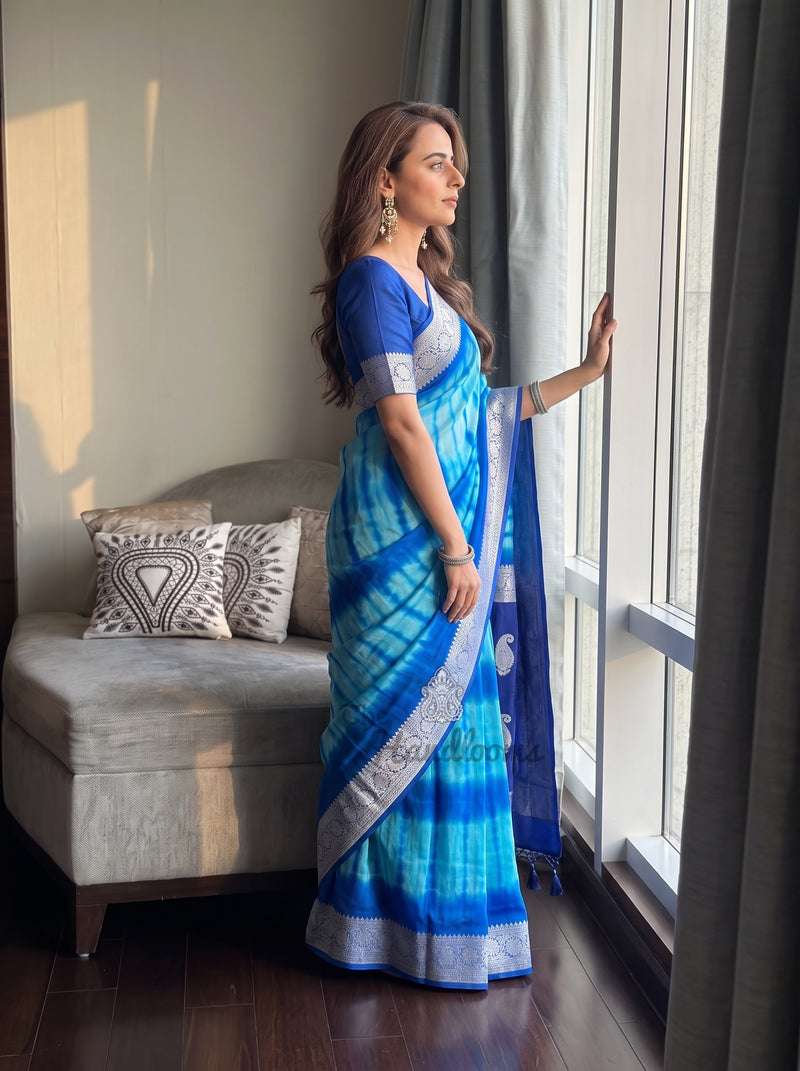 Pure Georgette Handloom Banarasi Saree - Silver Zari