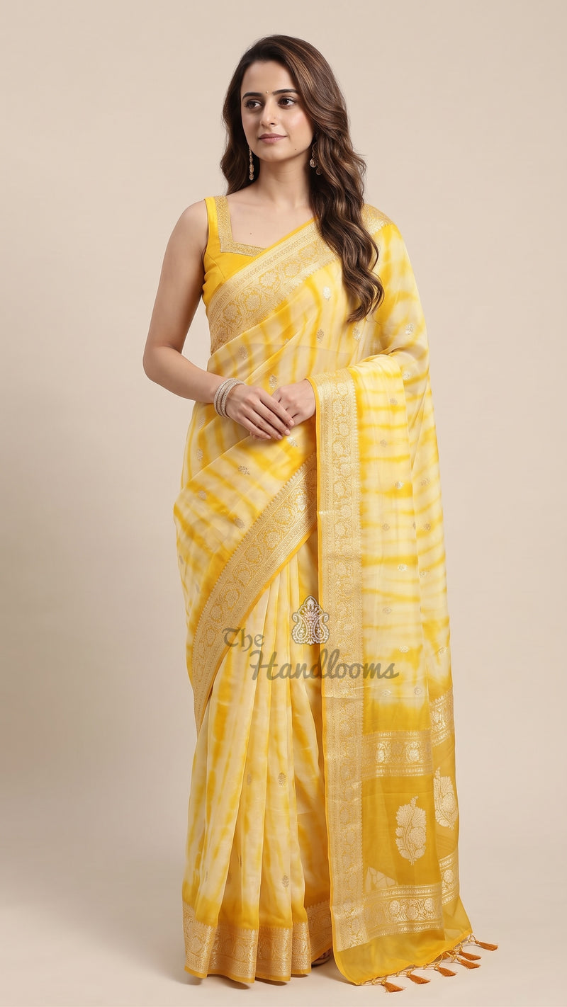 Pure Georgette Handloom Banarasi Saree - Silver Zari