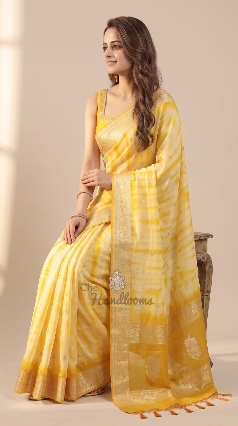 Pure Georgette Handloom Banarasi Saree - Silver Zari