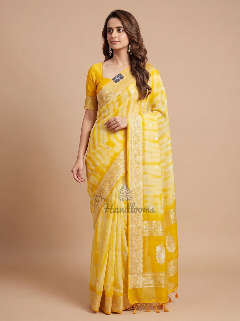 Pure Georgette Handloom Banarasi Saree - Silver Zari