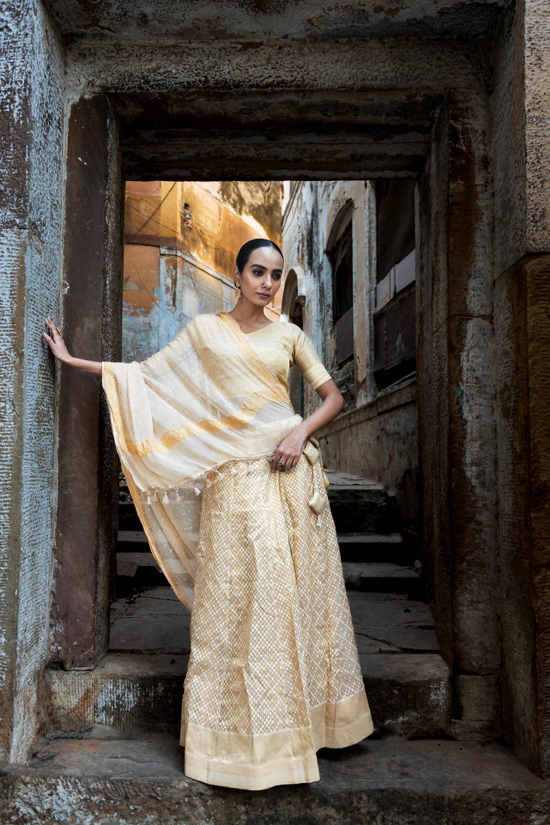 Pure Tissue Silk Handloom Banarasi Lehenga Set - With Stitched Skirt - The Handlooms