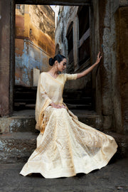 Pure Tissue Silk Handloom Banarasi Lehenga Set - With Stitched Skirt - The Handlooms