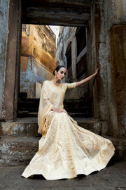 Pure Tissue Silk Handloom Banarasi Lehenga Set - With Stitched Skirt - The Handlooms