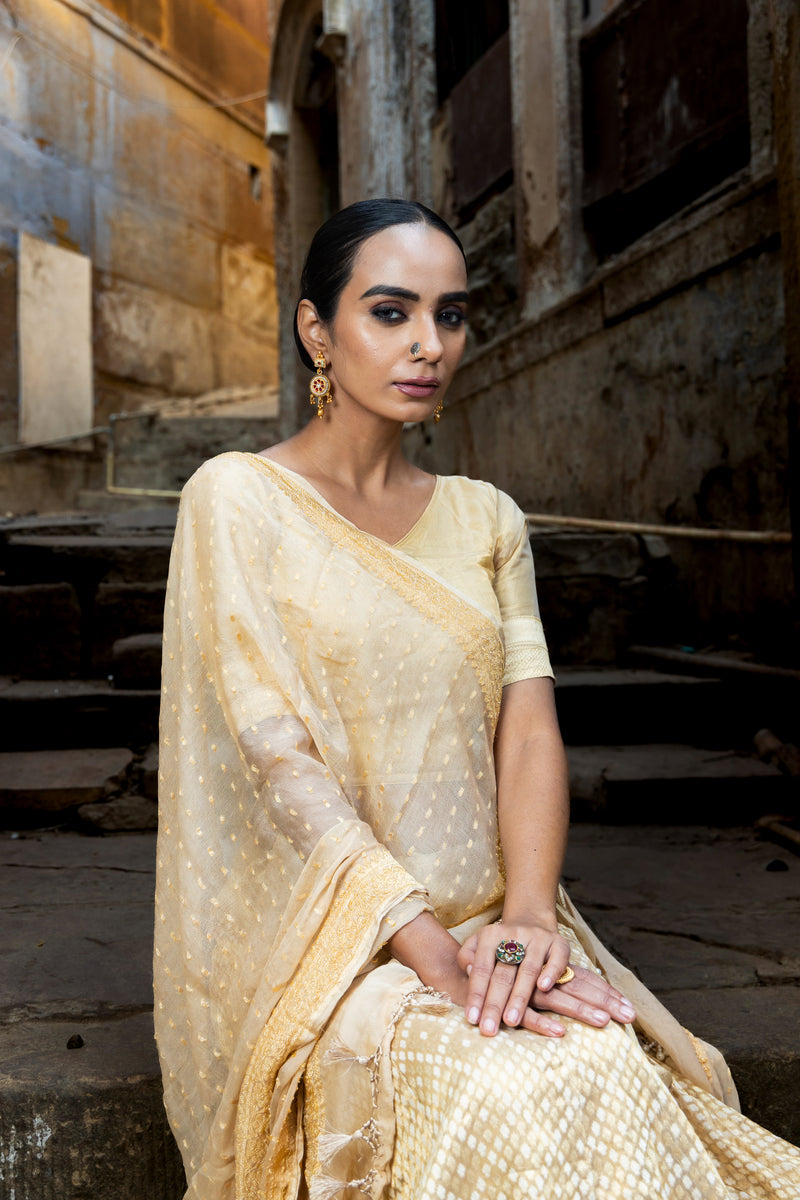 Pure Tissue Silk Handloom Banarasi Lehenga Set - With Stitched Skirt - The Handlooms