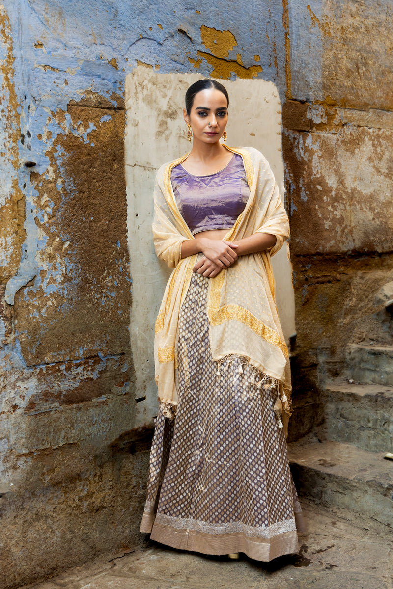 Pure Tissue Silk Handloom Banarasi Lehenga Set - With Stitched Skirt - The Handlooms