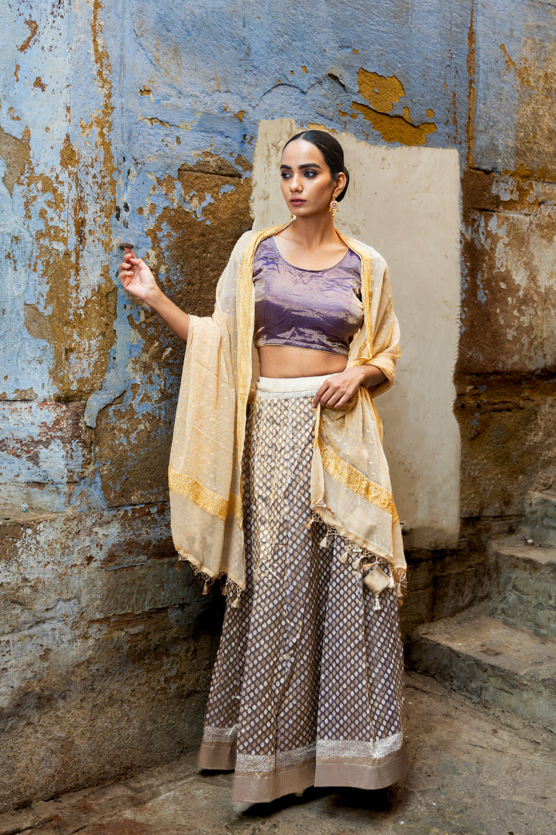 Pure Tissue Silk Handloom Banarasi Lehenga Set - With Stitched Skirt - The Handlooms
