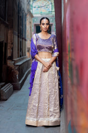 Pure Tissue Silk Handloom Banarasi Lehenga Set - With Stitched Skirt - The Handlooms