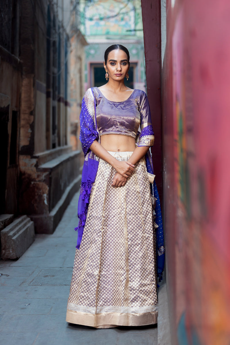 Pure Tissue Silk Handloom Banarasi Lehenga Set - With Stitched Skirt - The Handlooms