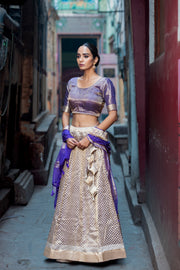 Pure Tissue Silk Handloom Banarasi Lehenga Set - With Stitched Skirt - The Handlooms