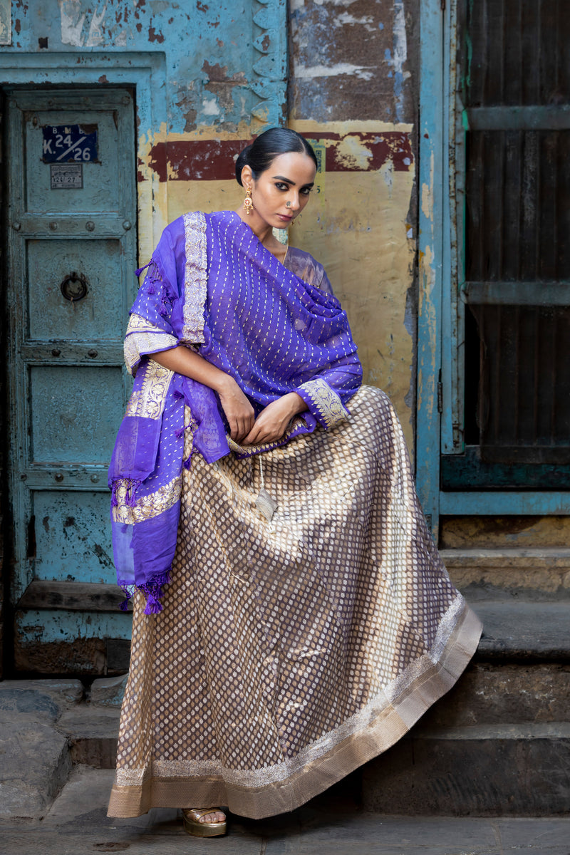 Pure Tissue Silk Handloom Banarasi Lehenga Set - With Stitched Skirt - The Handlooms
