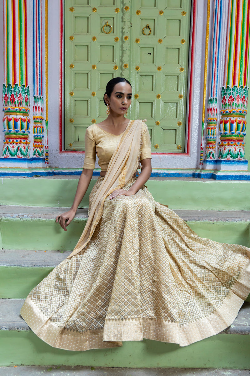 Pure Tissue Silk Handloom Banarasi Lehenga Set - With Stitched Skirt - The Handlooms