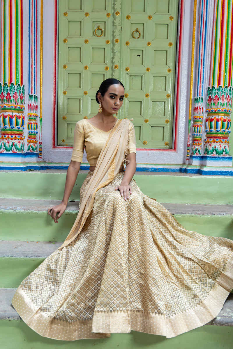 Pure Tissue Silk Handloom Banarasi Lehenga Set - With Stitched Skirt - The Handlooms