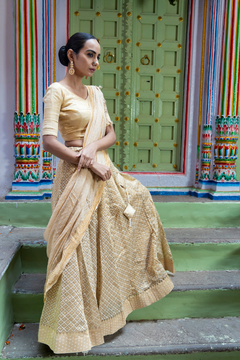 Pure Tissue Silk Handloom Banarasi Lehenga Set - With Stitched Skirt - The Handlooms