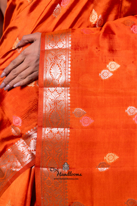 Honey Pure Mango Silk Banarasi Handloom Saree