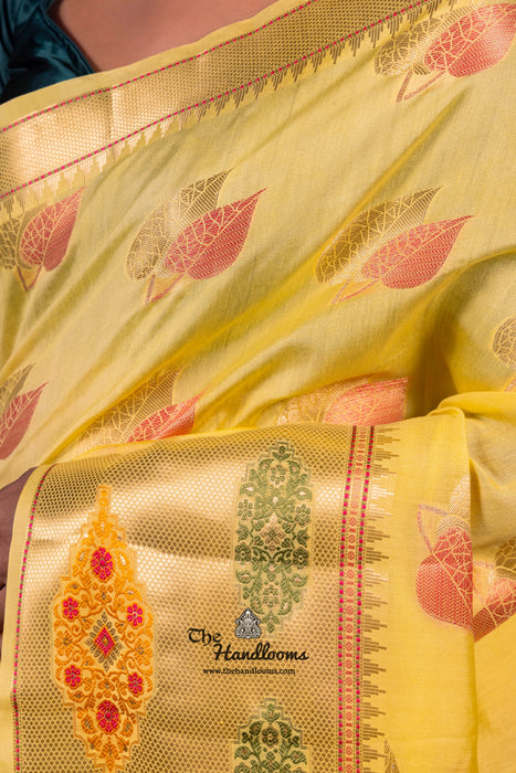 Pure Chanderi Handloom Banarasi Saree