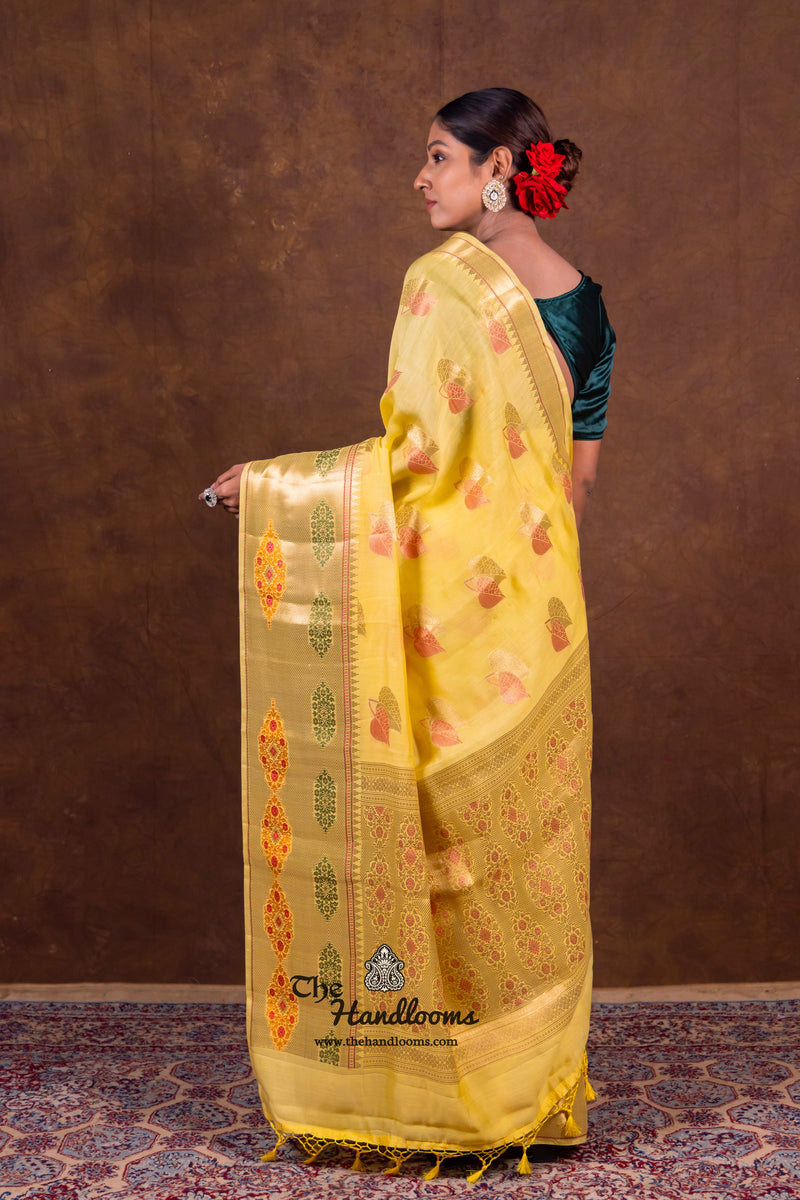 Pure Chanderi Handloom Banarasi Saree - The Handlooms