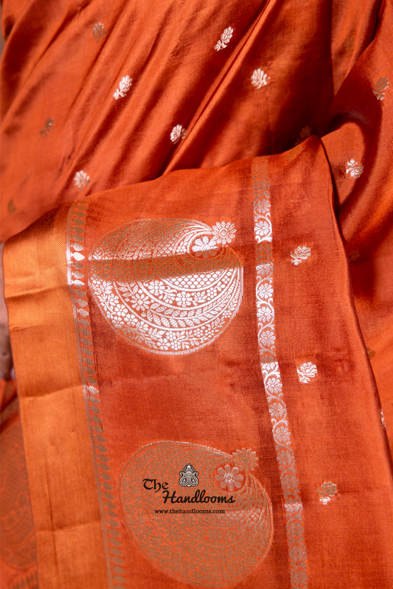 Honey Pure Mango Silk Banarasi Handloom Saree - The Handlooms