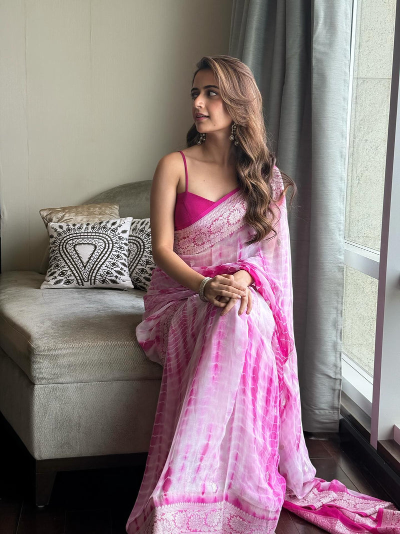 Ashika Ranganath in Pure Georgette Handloom Banarasi Saree - Silver Zari