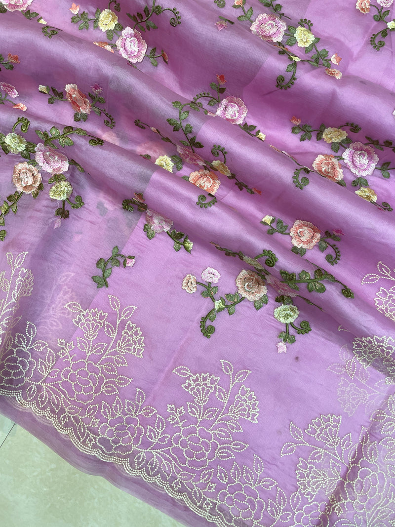 Pure Organza Chikankari Handloom Banarasi Saree - The Handlooms