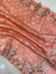 Pure organza Chikankari Handloom Banarasi Saree - The Handlooms