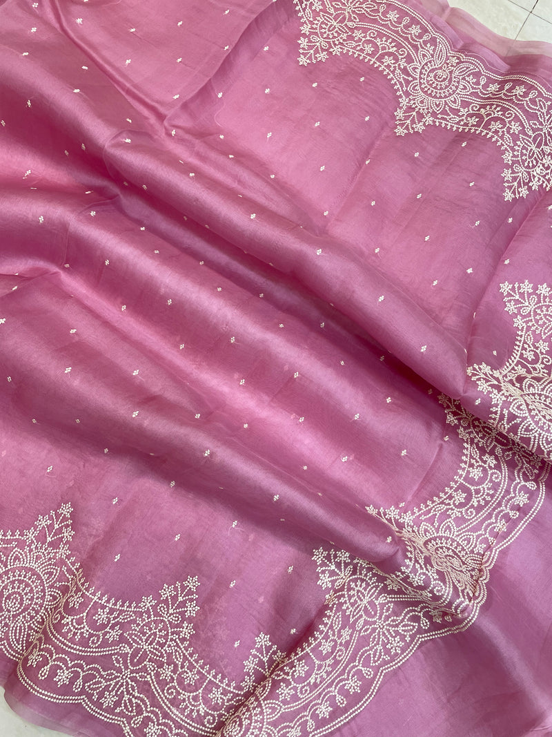 Pure organza Chikankari Handloom Banarasi Saree - The Handlooms