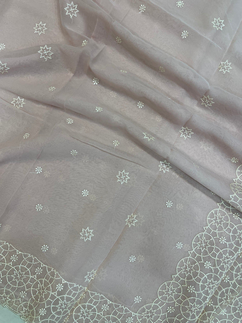 Pure Georgette Chikankari Handloom Banarasi Saree - The Handlooms