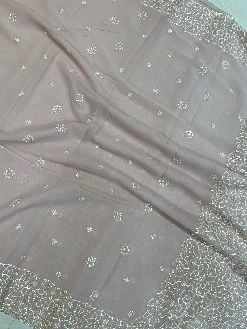 Pure Georgette Chikankari Handloom Banarasi Saree - The Handlooms