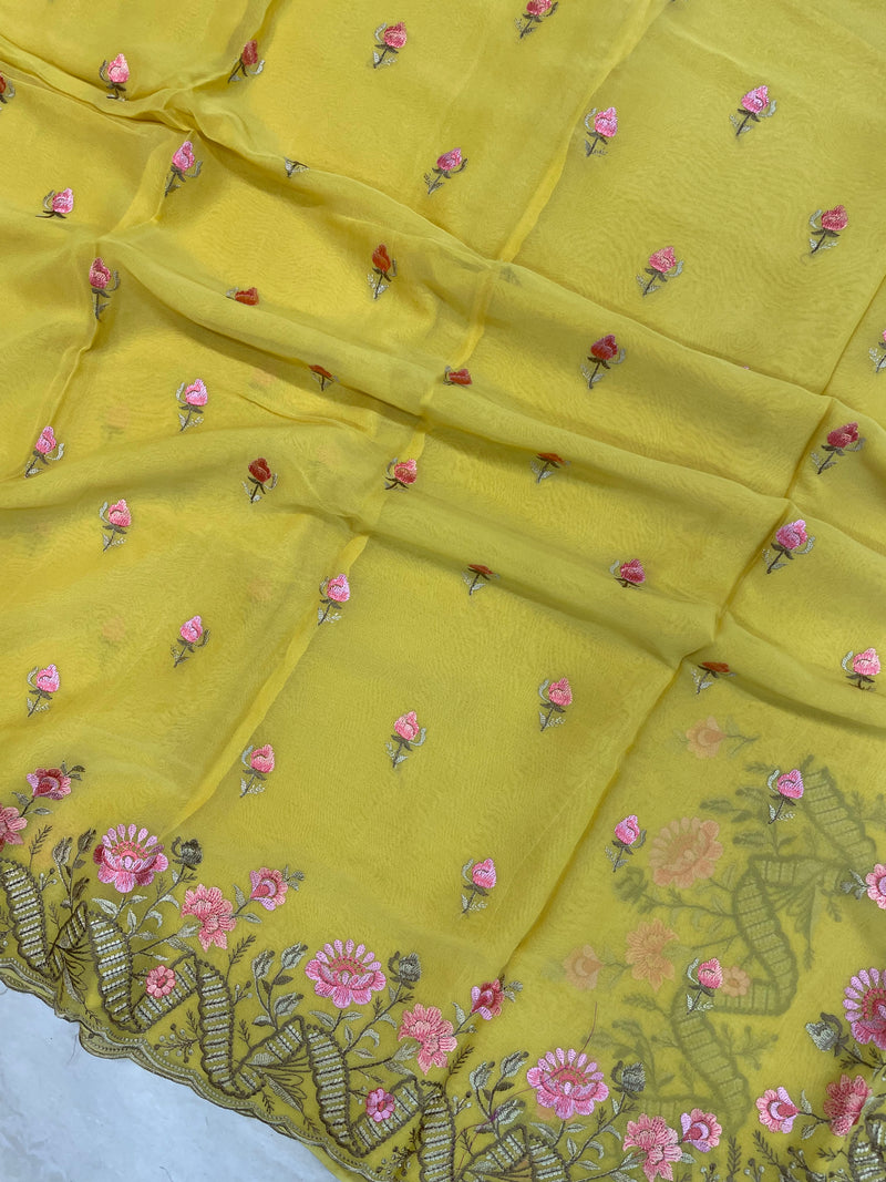 Pure Georgette Chikankari Handloom Banarasi Saree - The Handlooms