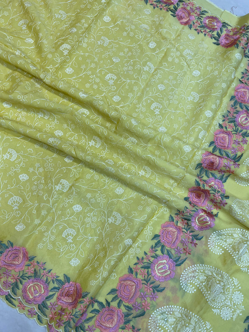 Pure Georgette Chikankari Handloom Banarasi Saree - The Handlooms