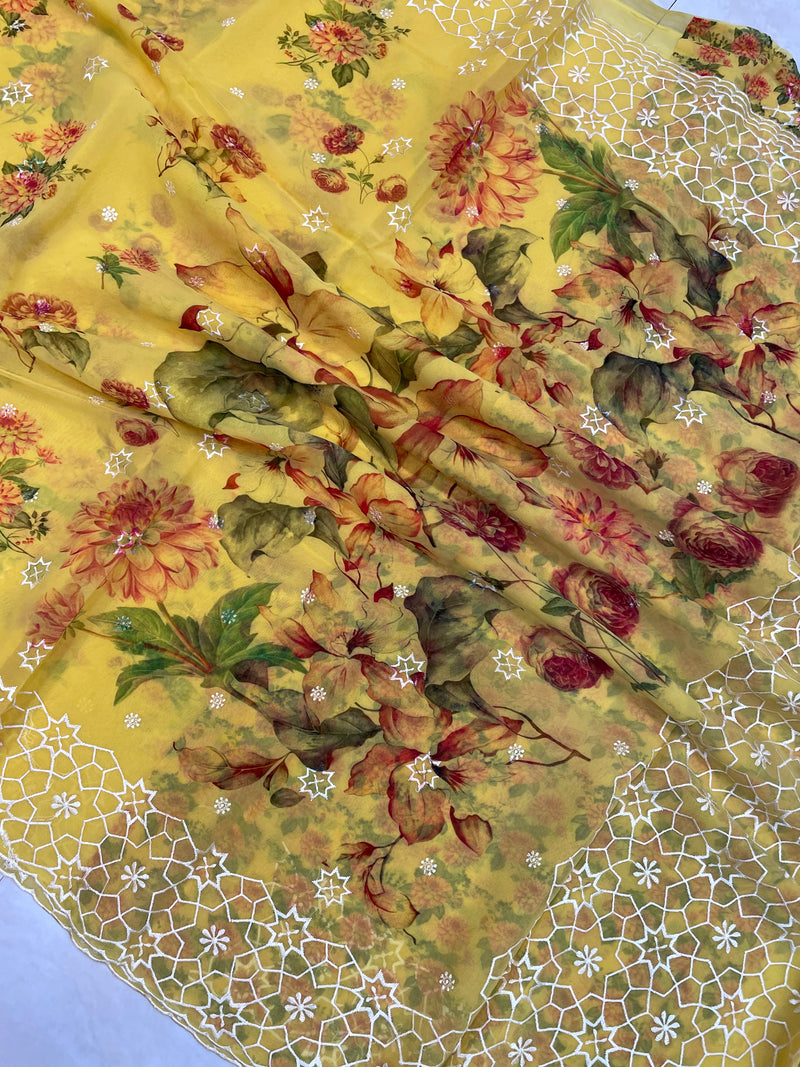 Pure Georgette  Digital Print with Chikankari Handloom Banarasi Saree - The Handlooms