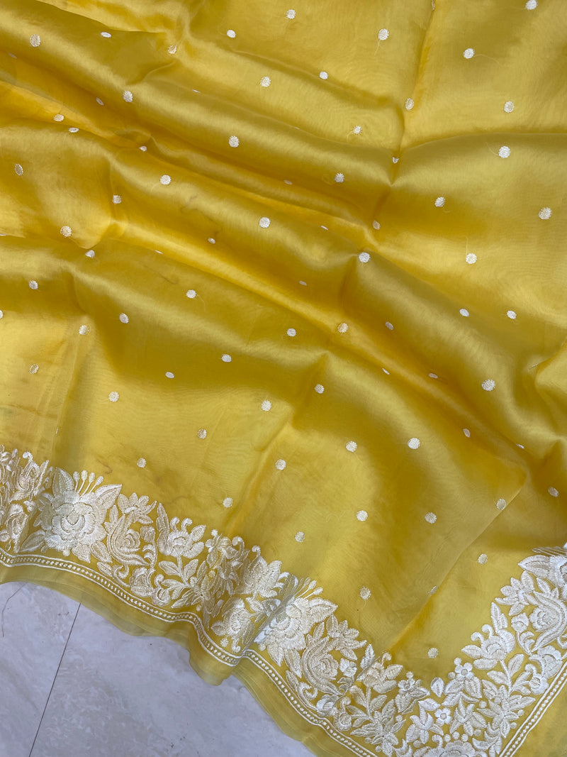 Pure Organza Chikankari Handloom Banarasi Saree - The Handlooms