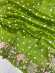 Pure Organza Chikankari Handloom Banarasi Saree - The Handlooms