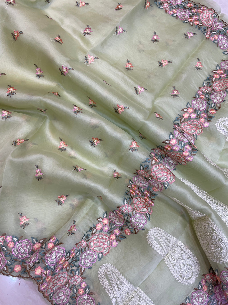 Pure Organza Chikankari Handloom Banarasi Saree - The Handlooms