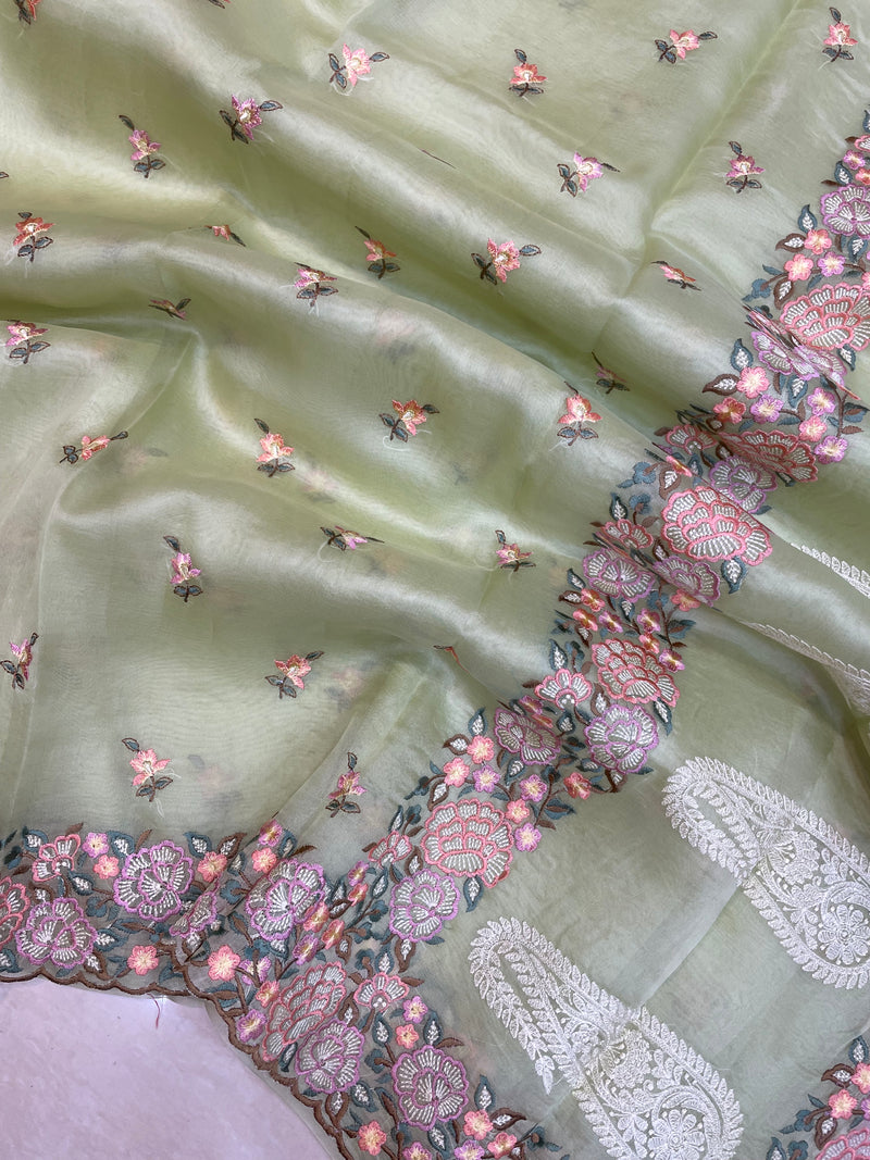 Pure Organza Chikankari Handloom Banarasi Saree - The Handlooms