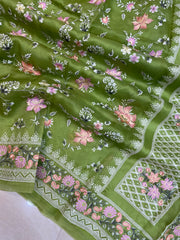Pure Organza Chikankari Handloom Banarasi Saree - The Handlooms