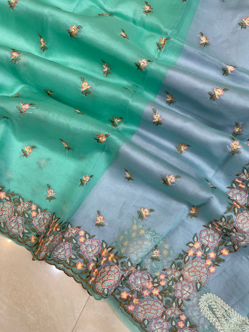 Pure Organza Chikankari Handloom Banarasi Saree - The Handlooms
