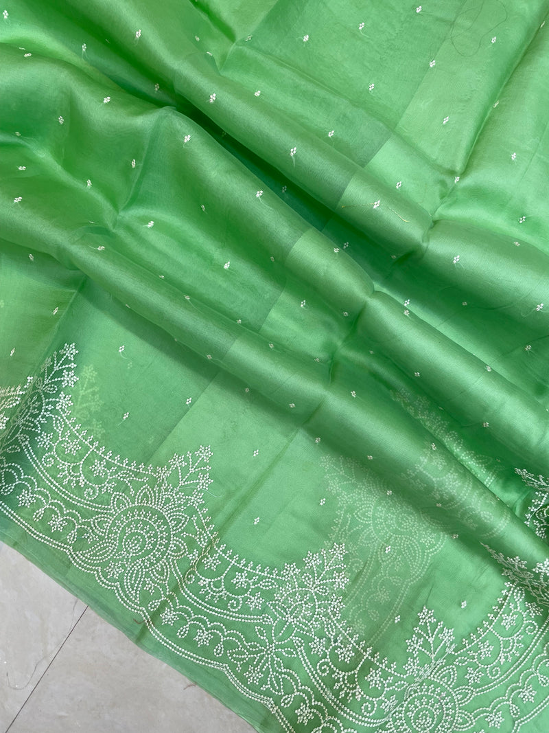 Pure Organza Chikankari Handloom Banarasi Saree - The Handlooms